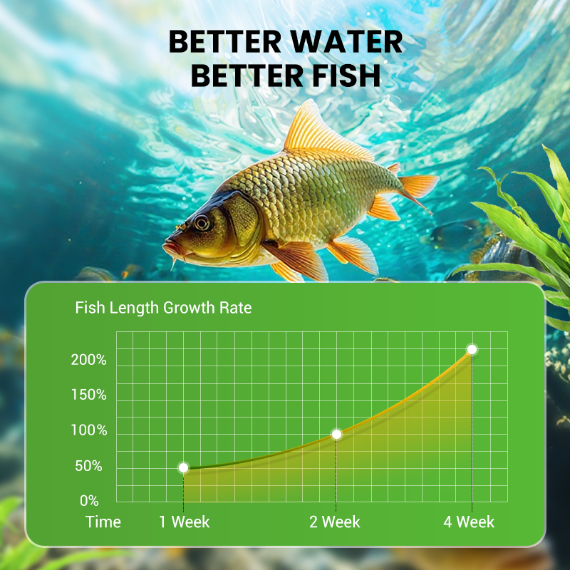 500g Premium Pond Care Powder | Water Clarifier & Algae Control 🐟🌊🔬