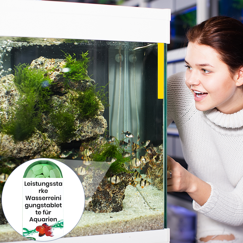 🔥New Hot Selling❤️🔥 Powerful Aquarium Water Purification Tablet