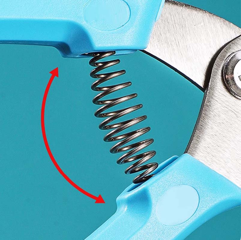 🔥2025 New Arrival🔥 Snail Seafood Shell Cutting Tool