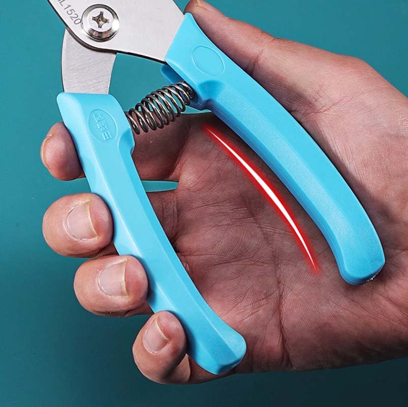 🔥2025 New Arrival🔥 Snail Seafood Shell Cutting Tool