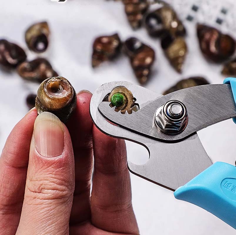 🔥2025 New Arrival🔥 Snail Seafood Shell Cutting Tool
