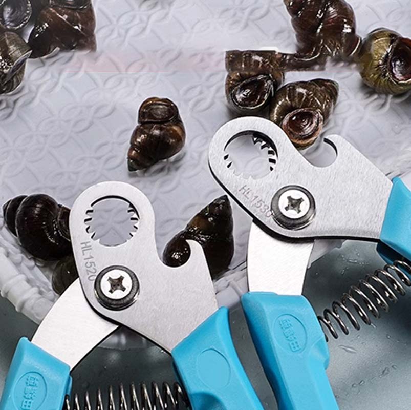 🔥2025 New Arrival🔥 Snail Seafood Shell Cutting Tool
