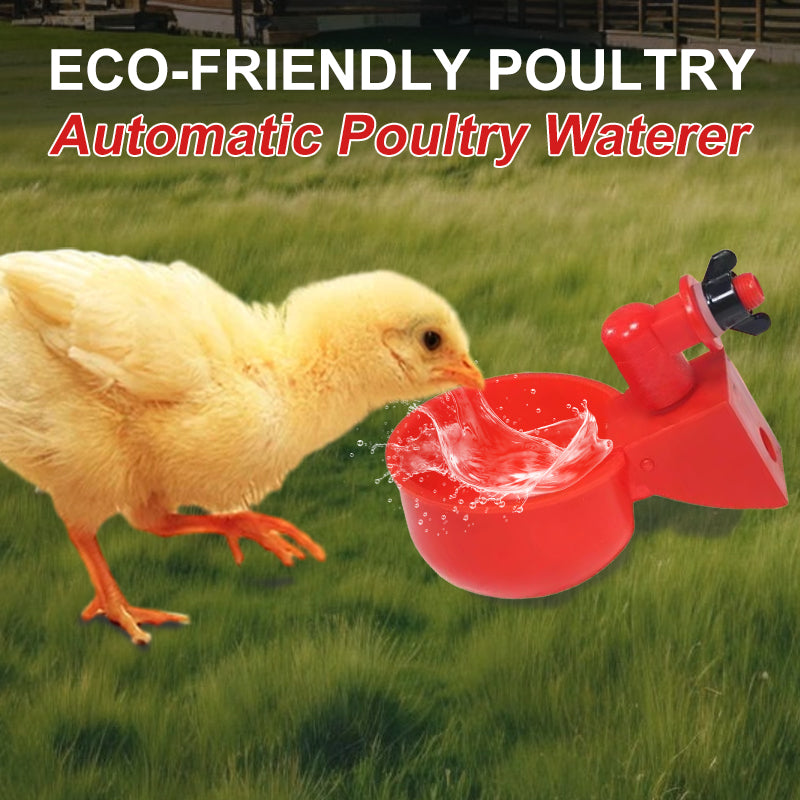 🔥New Hot Selling❤️🔥 Eco-Friendly Poultry Automatic Poultry Waterer