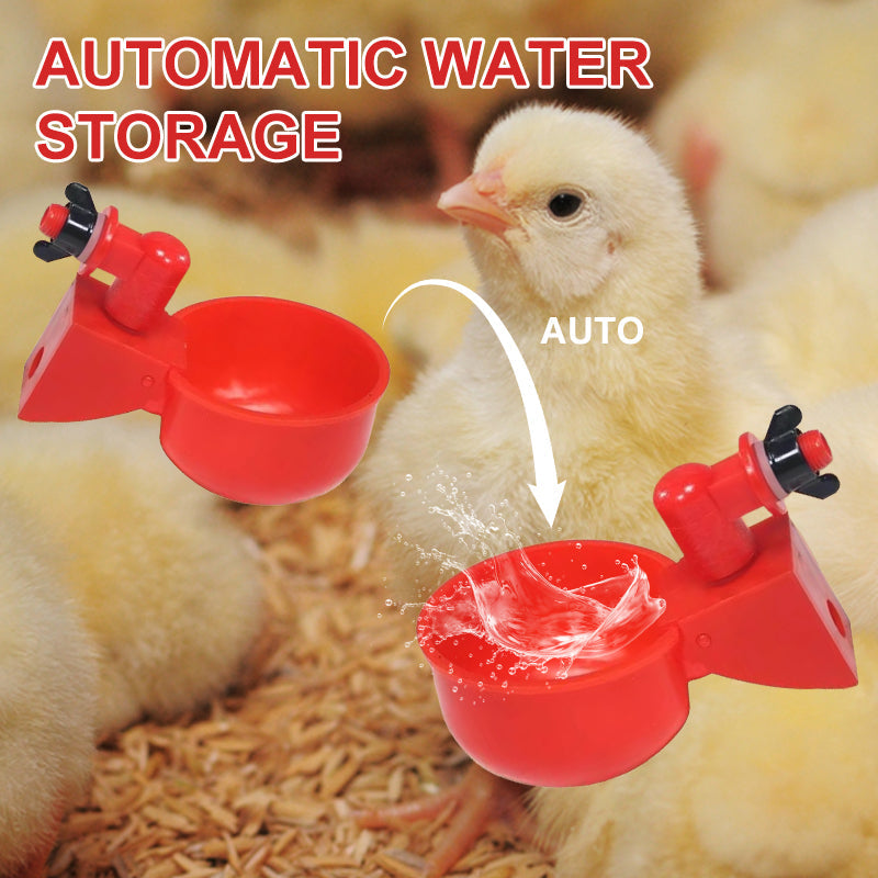 🔥New Hot Selling❤️🔥 Eco-Friendly Poultry Automatic Poultry Waterer