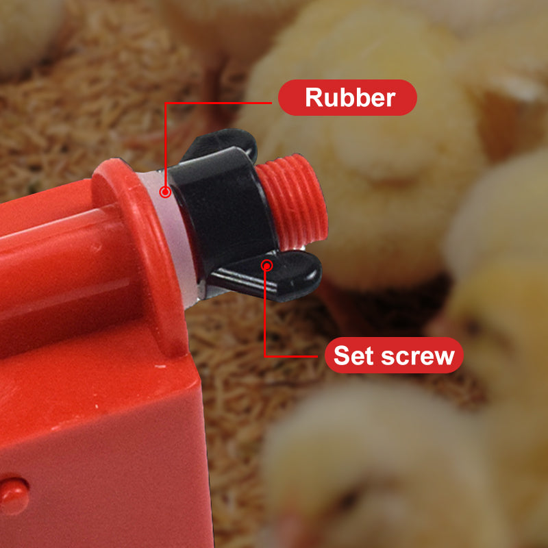 🔥New Hot Selling❤️🔥 Eco-Friendly Poultry Automatic Poultry Waterer