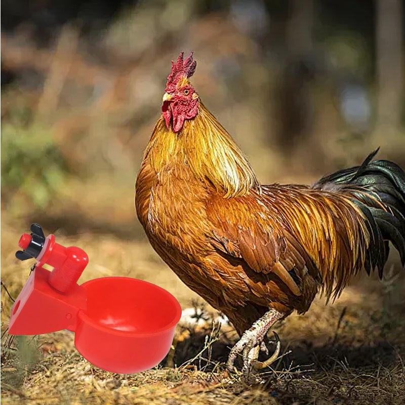 🔥New Hot Selling❤️🔥 Eco-Friendly Poultry Automatic Poultry Waterer