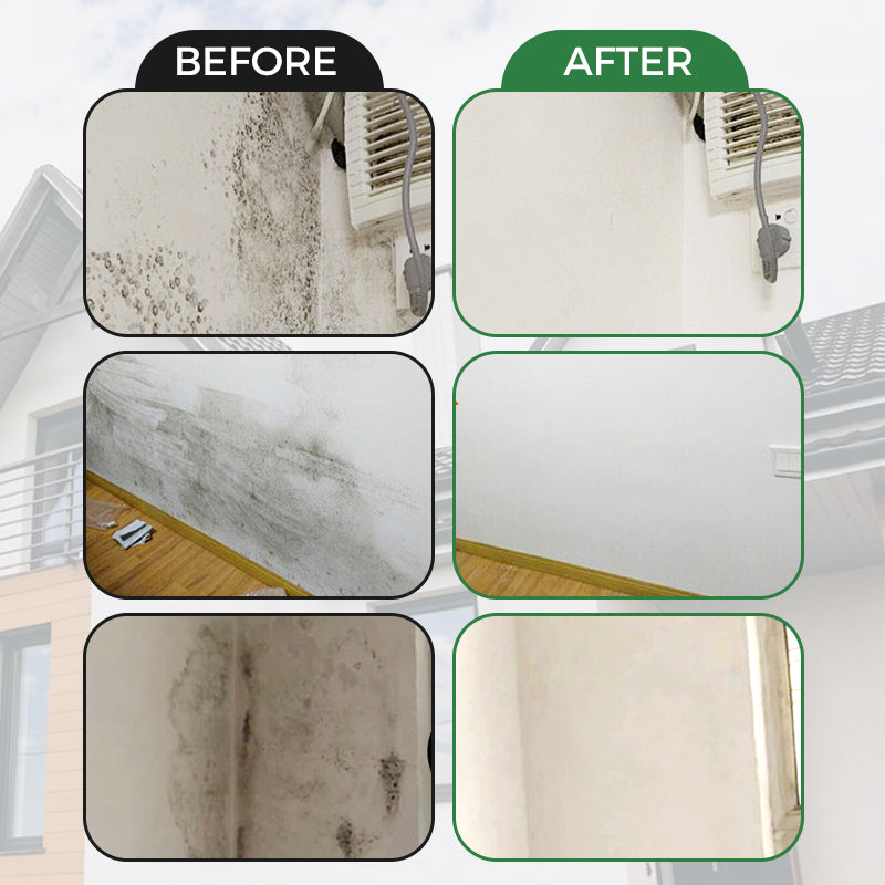 💥HOT SALE👍Quick-Dry Wall Repair Paste