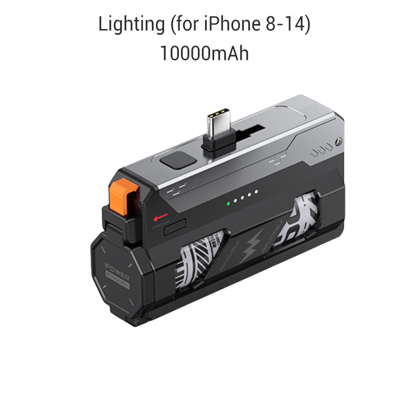 Portable Power Bank with Replaceable Battery