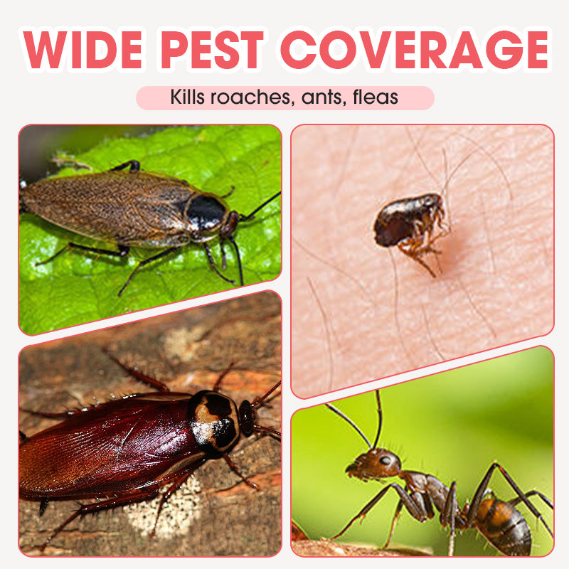 300ml Indoor Fipronil Pest Control Spray