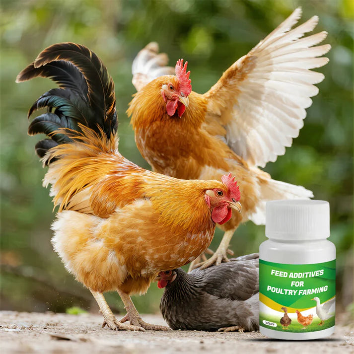 Feed Additives for Poultry Farming