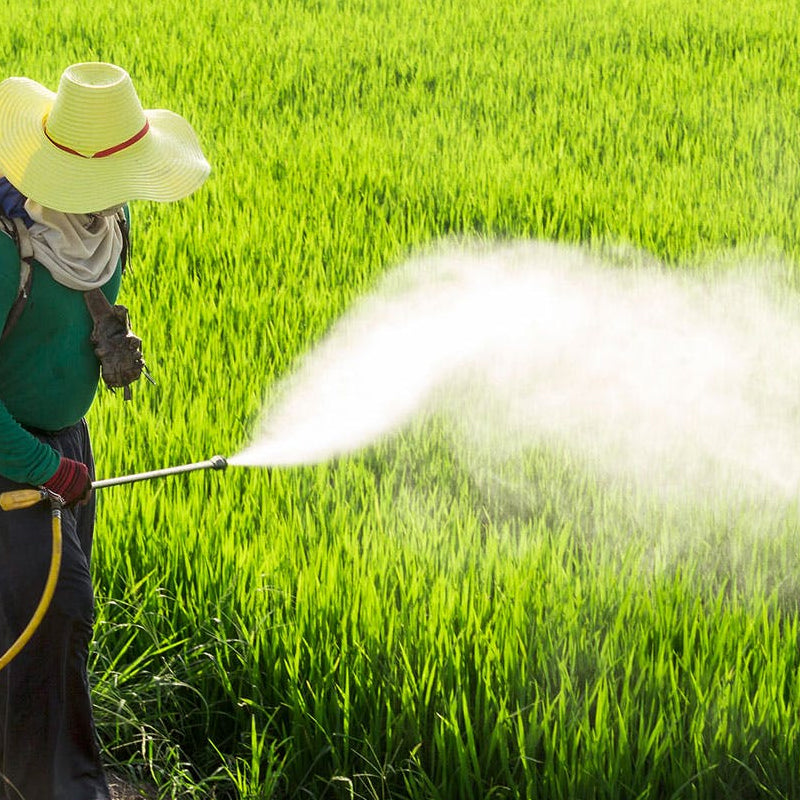 🔥New Hot Selling❤️‍🔥 High Pressure Air Vortex Spray Nozzle For Agricultural Applications