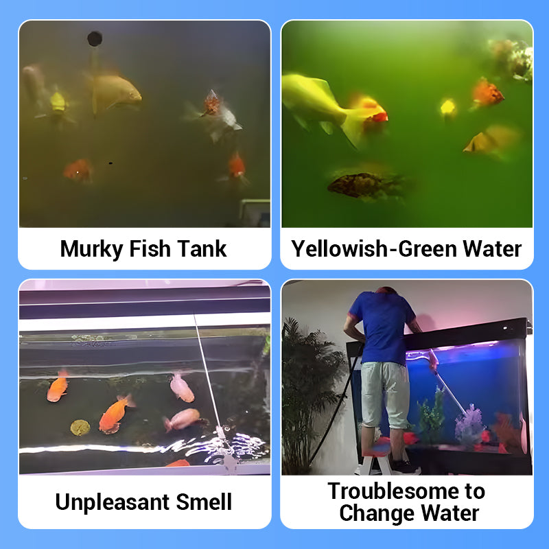 Buy 1 Get 1 Free⚡50K+ SOLD!🐠Powerful Aquarium Water Purification Tablet🌿