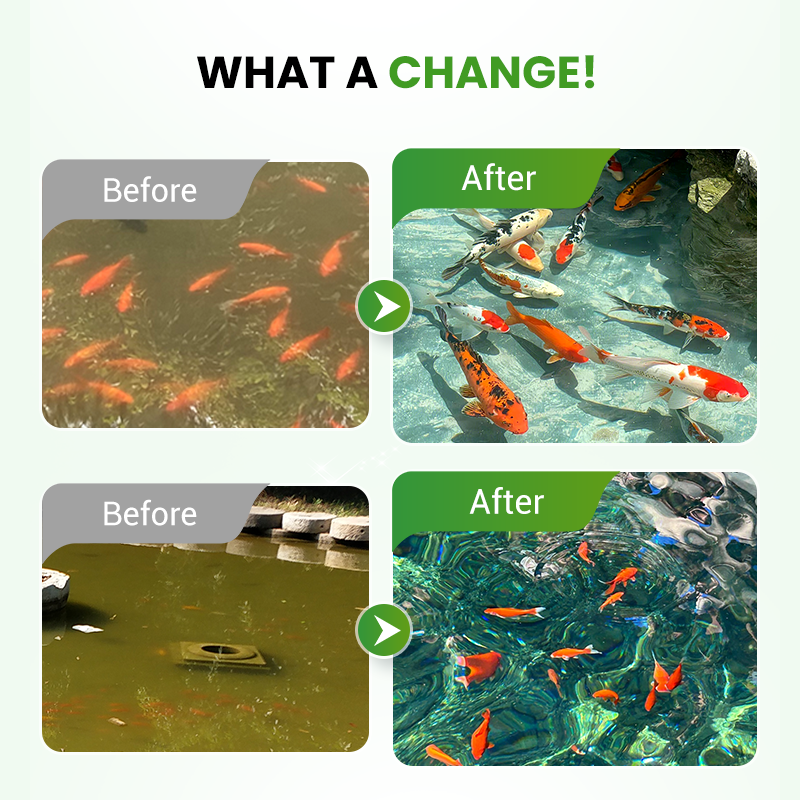 500g Premium Pond Care Powder | Water Clarifier & Algae Control 🐟🌊🔬