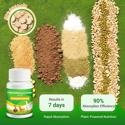 Feed Additives for Poultry Farming