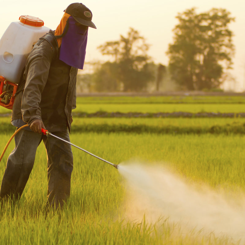 🔥New Hot Selling❤️‍🔥 High Pressure Air Vortex Spray Nozzle For Agricultural Applications