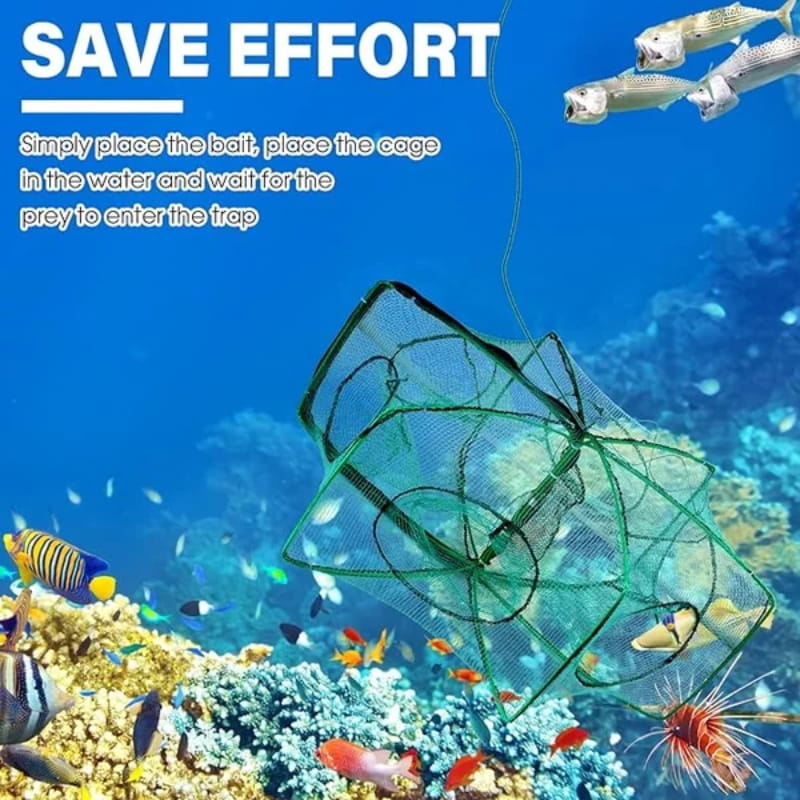🔥Auto-Foldable Strengthened Fishing Trap Net