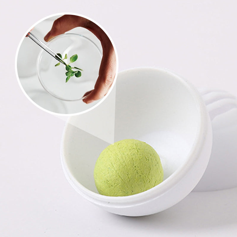 🔥New Hot Selling❤️‍🔥 Household Solid Air Freshening Shoes & Socks Deodorizing Balls