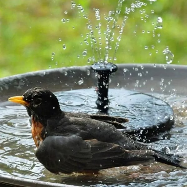 ⏳Time-Limited Special⏰Compact Solar Bird Fountain Pump – Keep Your Garden Alive! 🐦️