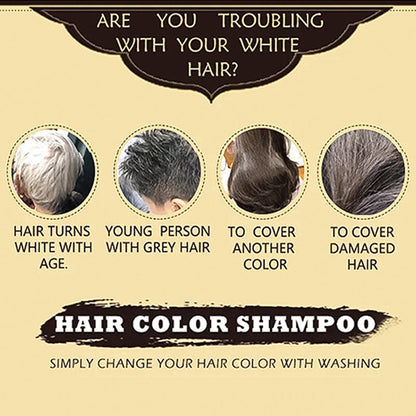 Portable Safe Hair Dye Comb