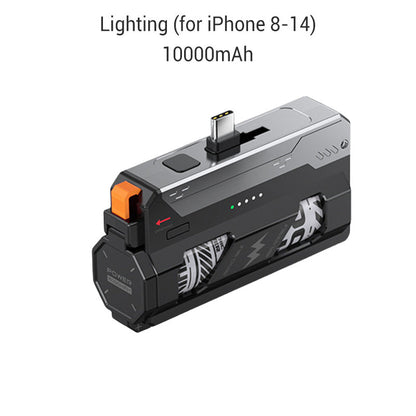 Portable Power Bank with Replaceable Battery