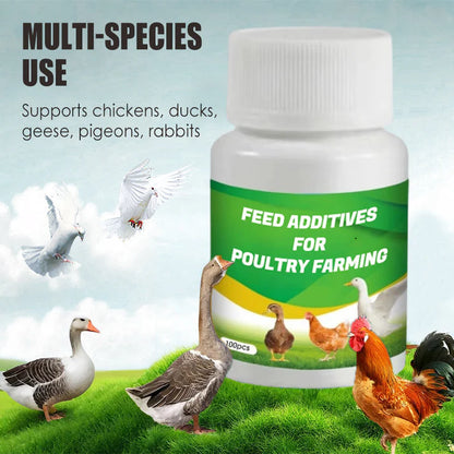 Feed Additives for Poultry Farming