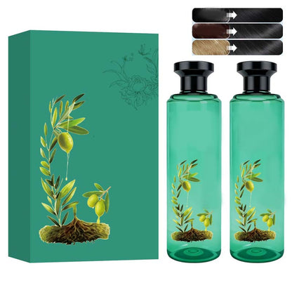 🎄 Christmas Special Offer! 🎁 BOTANICAL HAIR COLOR - 98% Natural Ingredients, Gray Coverage and Intense Shine, Plant-Based Care with Essential Oils 🌸🧴