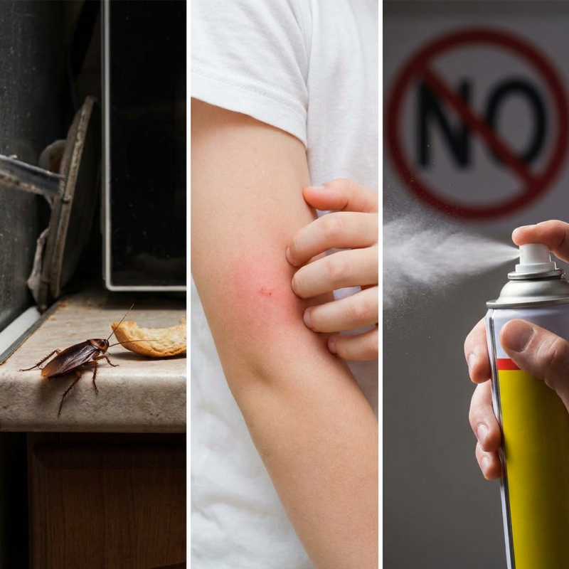 📢New Year Hot Seller – Up to 50% Off🔥Plant-Based Insect Repellent Gel for Home