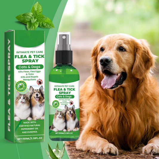 💥 MEGA DEAL: BUY 2, GET 1 FREE 🎁 Natural flea & tick spray 🐶🐱 provides effective and gentle protection 🌿