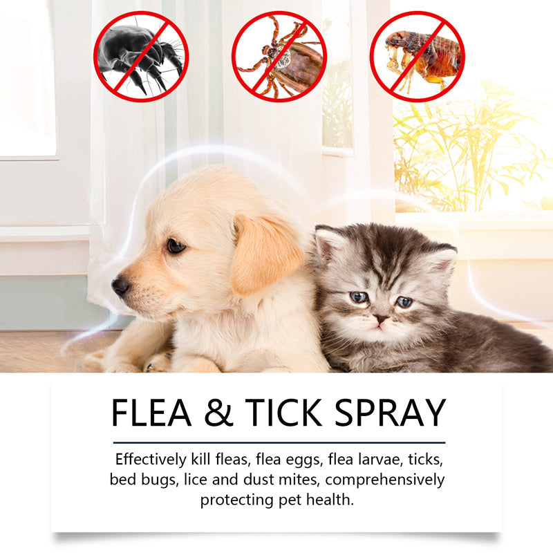 💥 MEGA DEAL: BUY 2, GET 1 FREE 🎁 Natural flea & tick spray 🐶🐱 provides effective and gentle protection 🌿