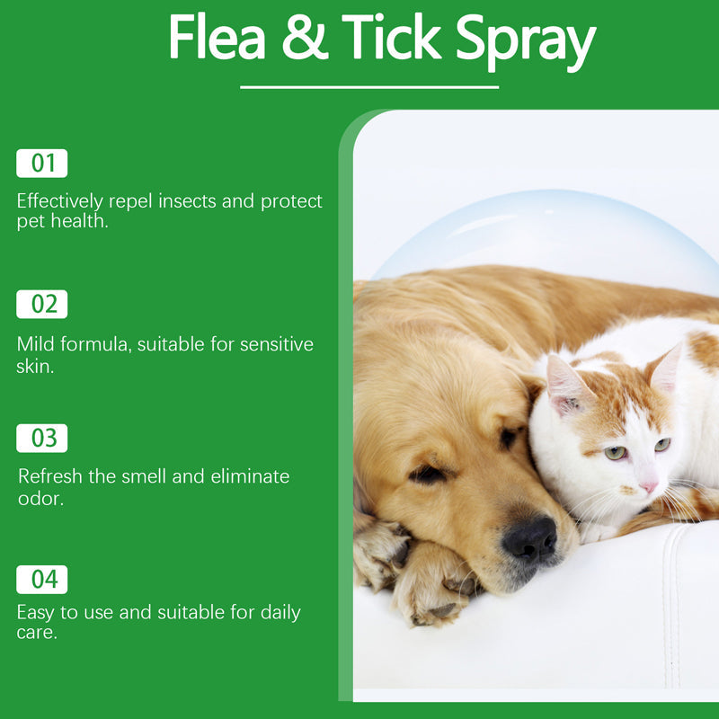 💥 MEGA DEAL: BUY 2, GET 1 FREE 🎁 Natural flea & tick spray 🐶🐱 provides effective and gentle protection 🌿