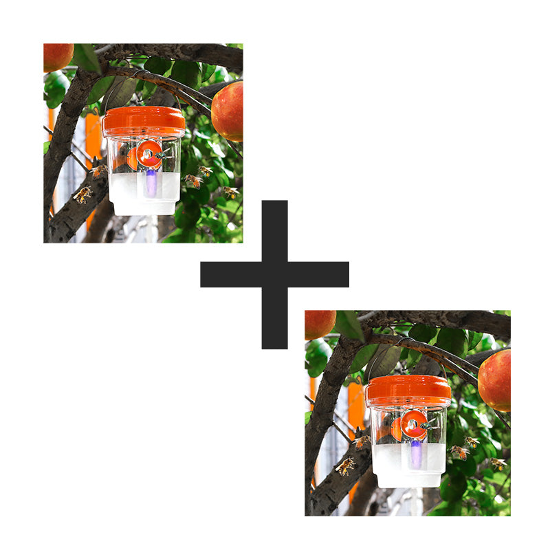 Solar Powered Hanging Wasp Trap