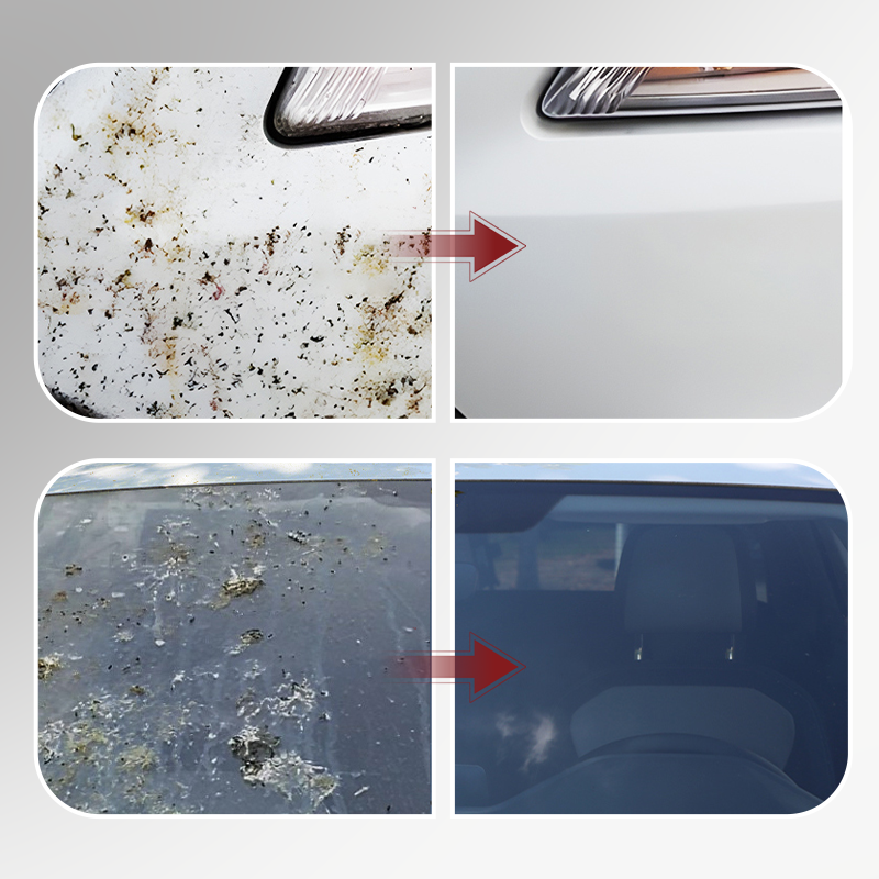🔥New Hot Selling❤️‍🔥 Powerful Insect & Bug Remover for Car