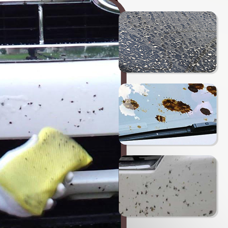 🔥New Hot Selling❤️‍🔥 Powerful Insect & Bug Remover for Car